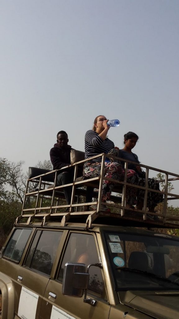 jeep safari in Ghana