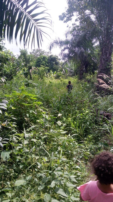 hiking in the Ashanti jungle