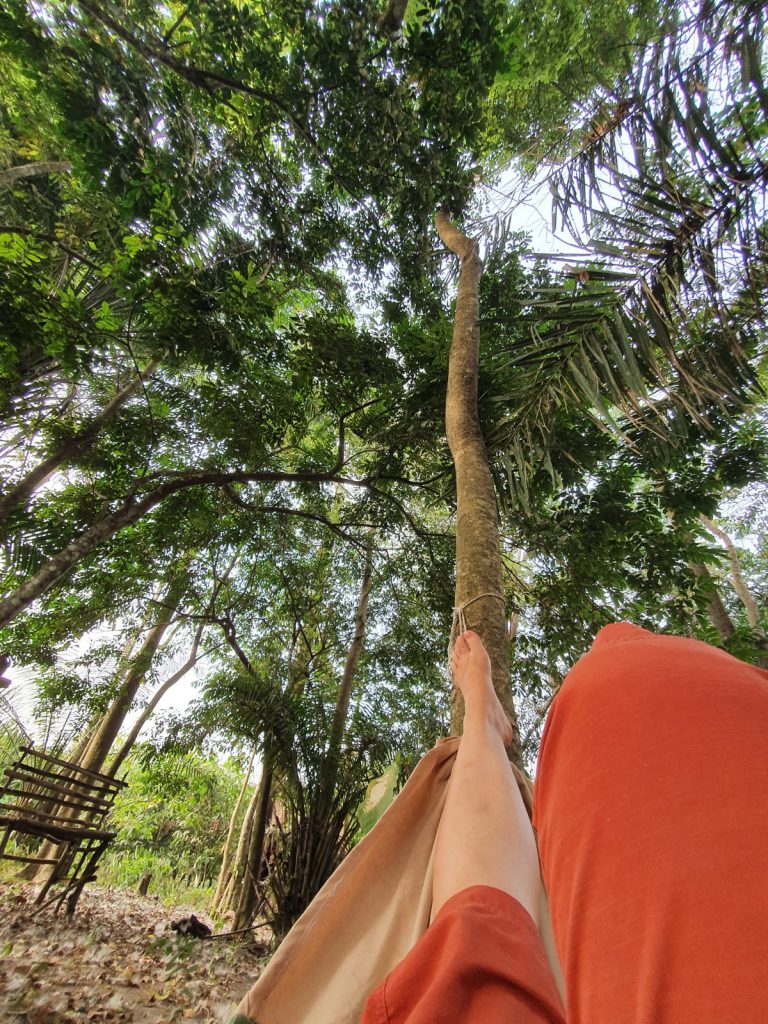 Enjoy the hammocks in the forest of Moon and Star guesthouse