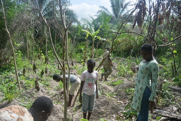 Ghanaian children on the farm, picture taken by volunteer
