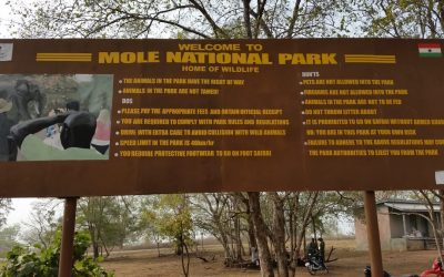 Spot wildlife in Ghana at Mole NP