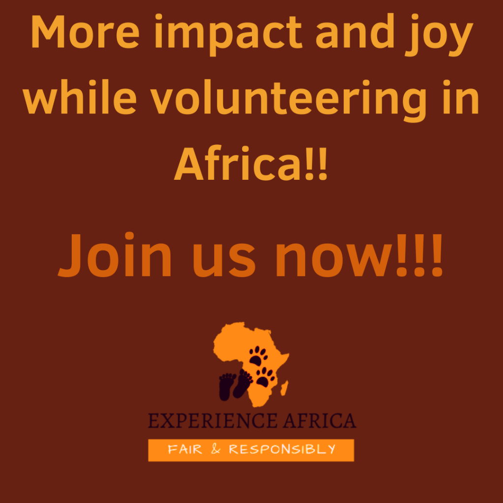 online volunteering course in Africa