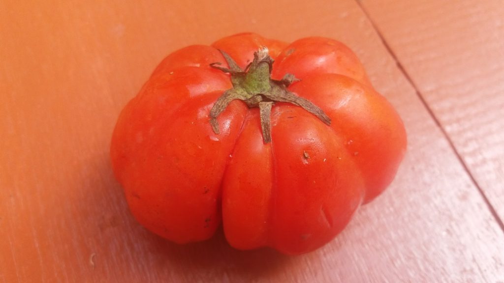 het meestgebruikte ingrediënt in Ghanees eten, tomaat