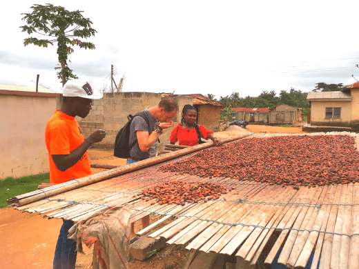 Veel mensen in Ghana leven van het verbouwen van cacao, hier ligt de gefermenteerde cacao te drogen