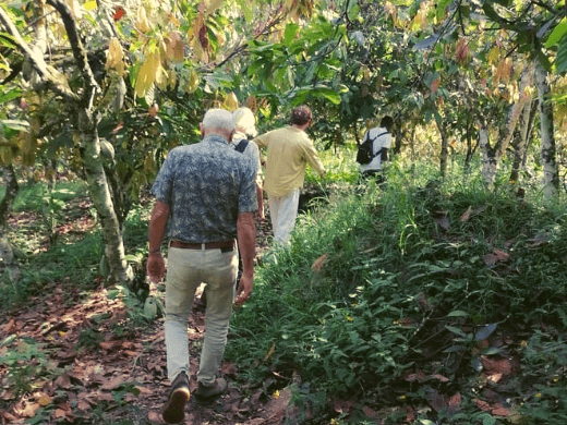 de gasten volgen tourguide Felix door het bos in Ghana